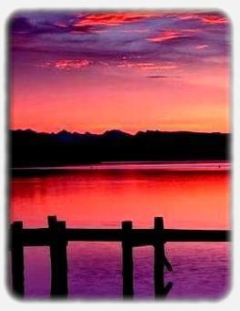 Magnifique[1]