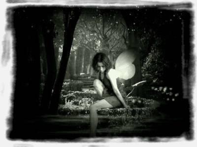 Magnifique[2]